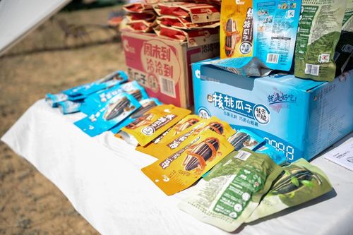 洽洽阿勒泰葵花節(jié) 全產(chǎn)業(yè)鏈溯源之旅，聯(lián)農(nóng)帶農(nóng)助農(nóng)增收，融合乳制品創(chuàng)新